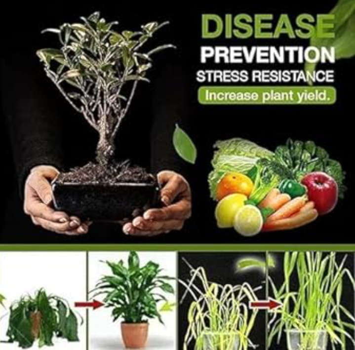 Premium Soil Activator 200 gram (Pack of 2)